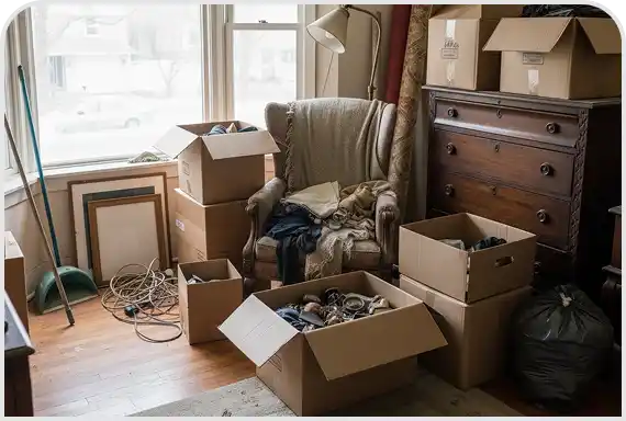 Full house Cleanouts